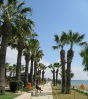 Rantakatu Larnaca Bayssa